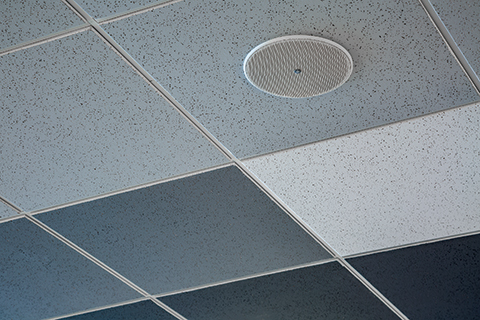 天井部分に設置されたシーリングスピーカー「VXC4W」。余計な縁取りなどがなく、空間の意匠にすっきりと馴染むシンプルなデザインも魅力だ