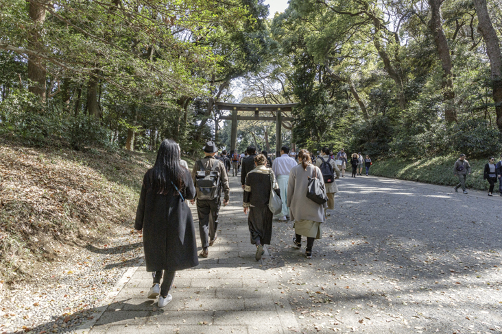 「明治神宮」に参拝。常緑広葉樹が参拝者を出迎えます