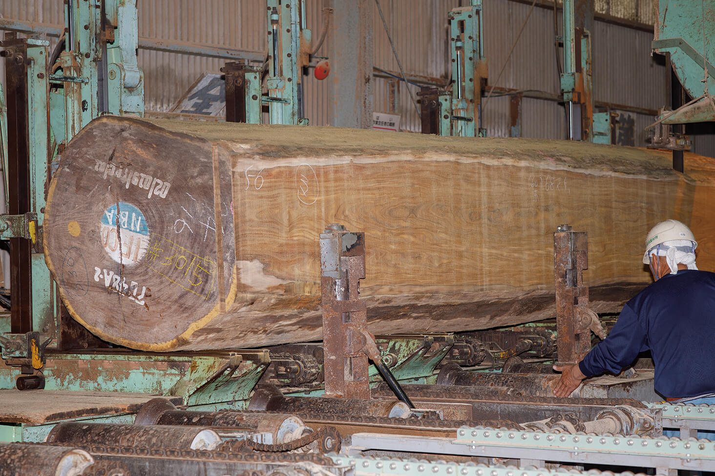アフリカ産アサメラ材の製材。工場内には巨大な木材の製材から薄い厚みのカットまで、多様な加工を可能にする機械が点在し、熟練の職人たちが作業を行う