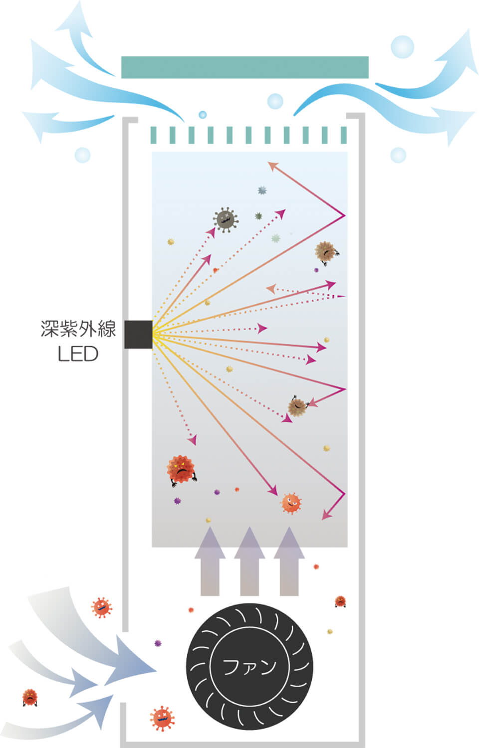 内部の簡易構造図。機内の取り込んだ空気に深紫外線LEDの光を直接照射して除菌する。深紫外線の光が外部に漏れることはなく、空気を除菌するための薬剤も一切使用 していないため、安心して使用できる