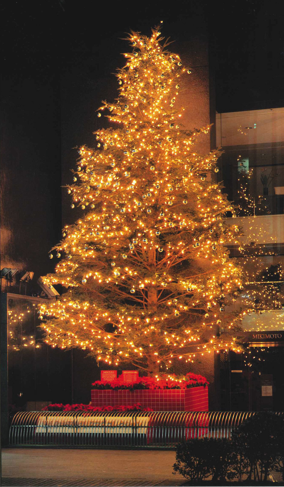 「ミキモト本店」のクリスマスツリー。撤去後のツリーは、社会貢献活動として教育施設に寄付された